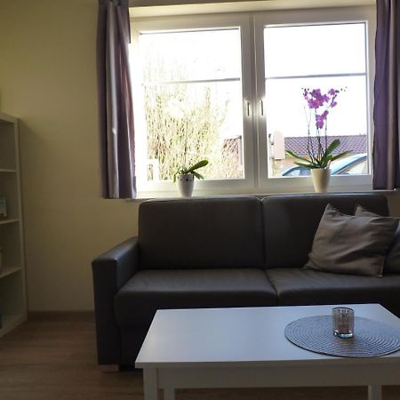 Cafe Und Pension Blohm Greifswald Ngoại thất bức ảnh